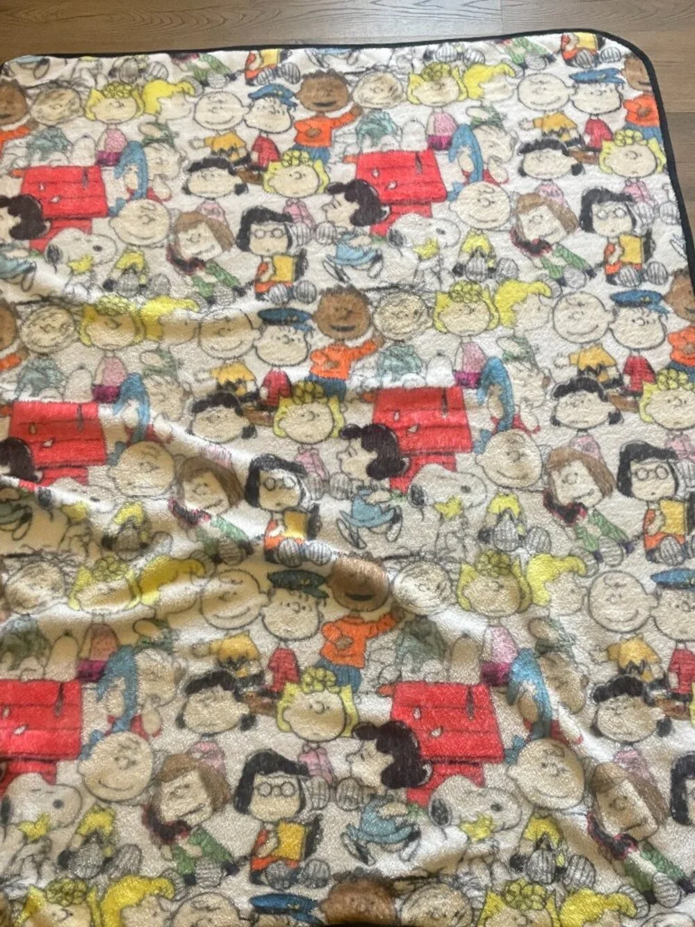 Peanuts Bioworld Charlie Brown Throw Blanket 55